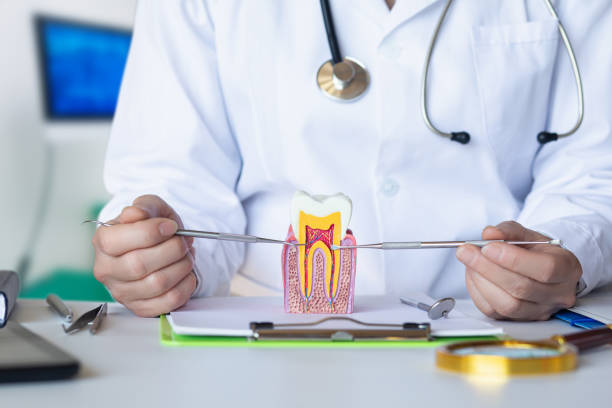 Best Emergency Dental Care for Sports Injuries in Stratford, OK